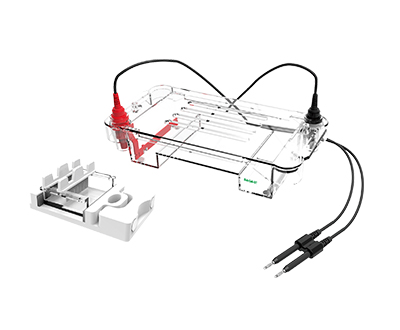 迷你水平電泳槽