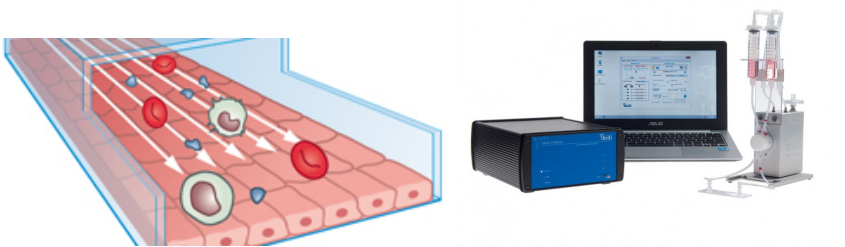 ibidi細(xì)胞流體培養(yǎng)