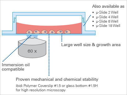 1697705396105458.png 26753657dfcc5448e1caa6f0f1f5f3ff.png