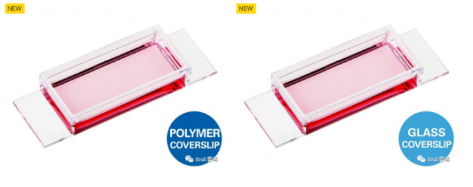 1698111657555109.png 1698111657555109.png