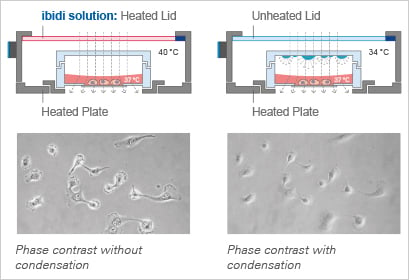 1734578814164610.png a87403a75c660f4744e7d9b1fbc5ef84.png