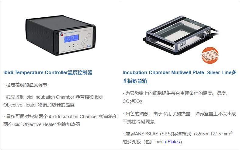 1734578843198511.png 1734578843198511.png