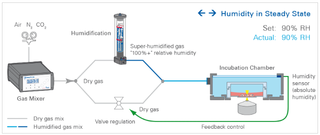 1735092862534698.png 01.png