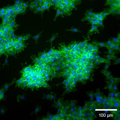 1739502771179208.png 1711e8d38927f8c0910caf803f8c14c5.png