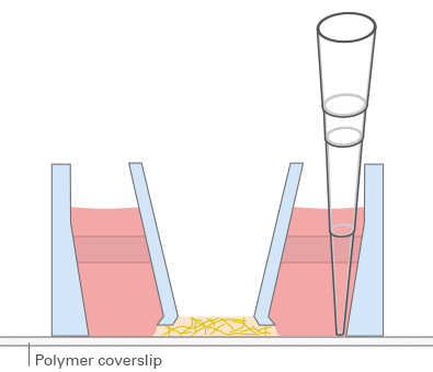 1739772332171510.png QQ截圖20250217135959.png