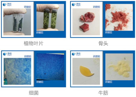 1766542362120466.png 757781757456.png