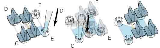 細(xì)胞趨化實(shí)驗(yàn)新方法(二)--實(shí)時(shí)觀察細(xì)胞動態(tài)