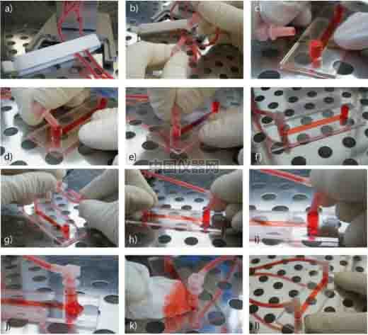 流體剪切力實驗：流體環(huán)境下的HUVEC細胞培養(yǎng)，真實還原體內(nèi)環(huán)境