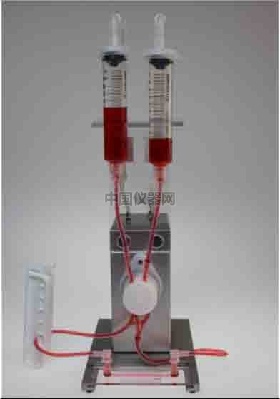 血管內(nèi)皮細(xì)胞模擬體內(nèi)流體環(huán)境