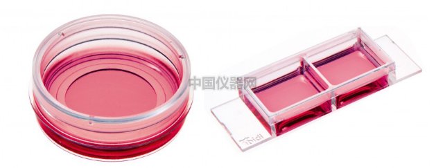 通道載玻片--受牙齦菌感染的Ca9-22細胞中IL-33免疫熒光染色實驗