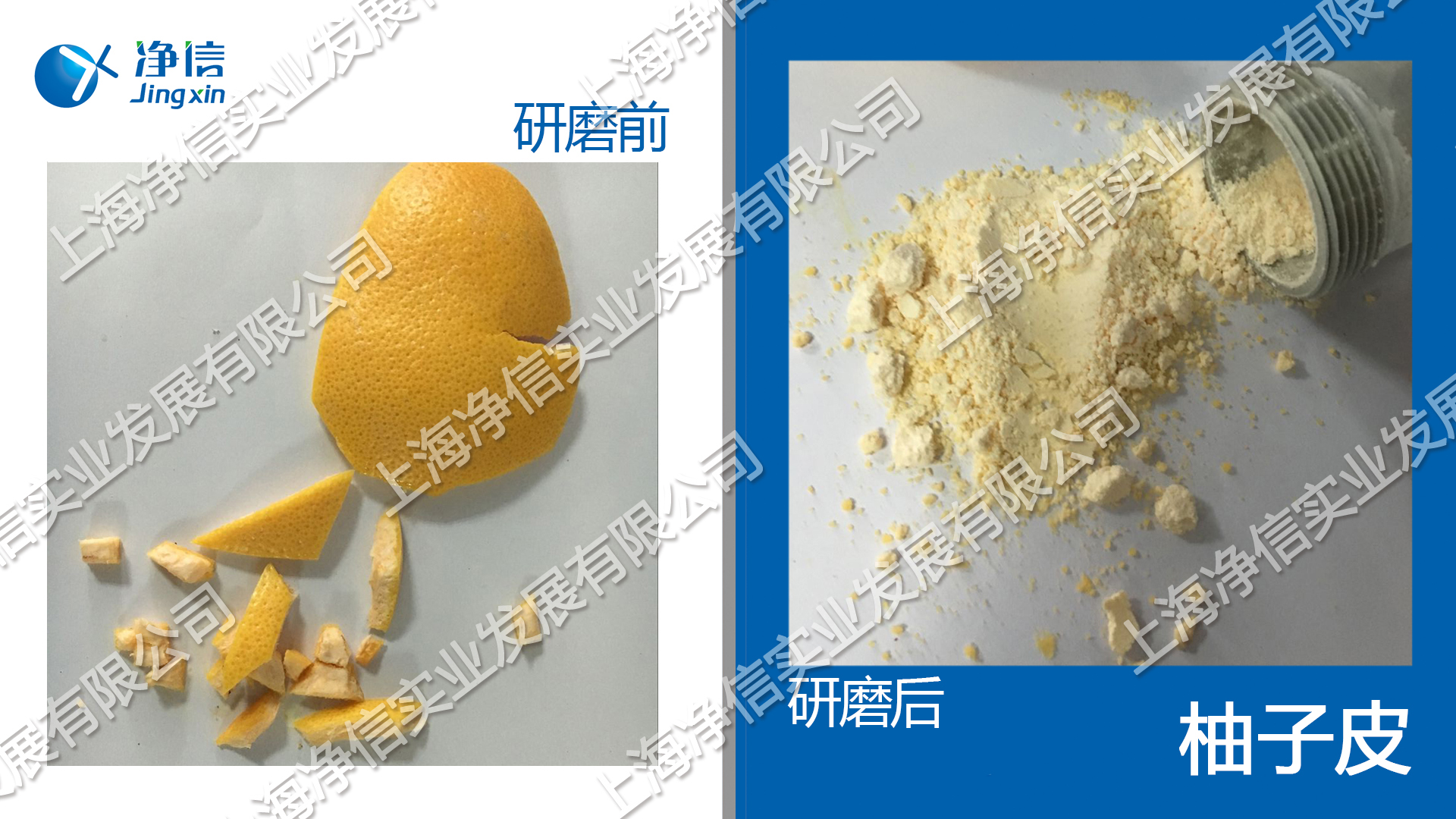 快速組織研磨機,多樣品組織勻漿機,快速樣品勻漿系統